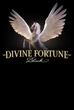 Divine Fortune Black Free Play in Demo Mode